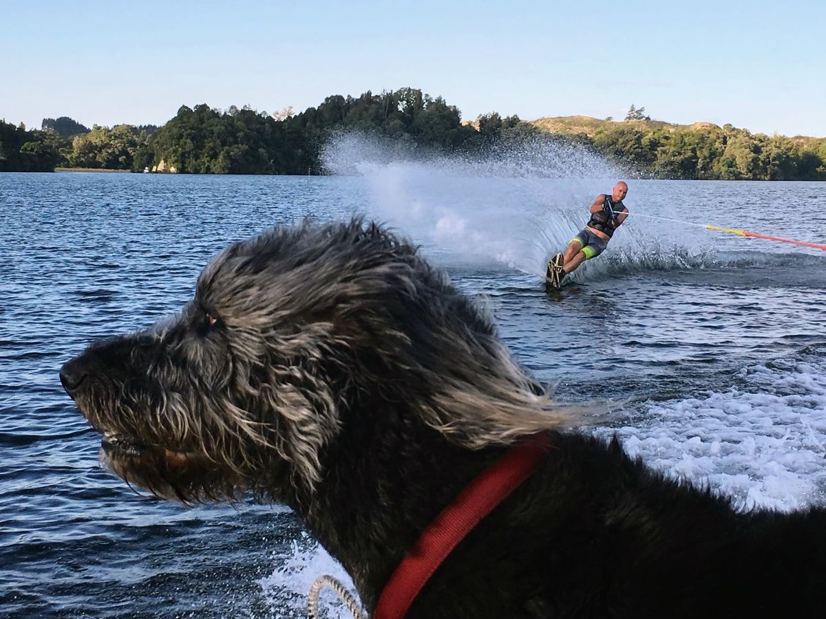 Oliver Russell Team Connect Health